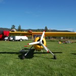 Wilga