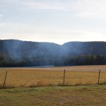 dsc_0169.jpg