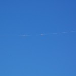 dsc_0154.jpg