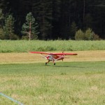 dsc_0131.jpg