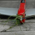 andr_plukker_blomster.jpg