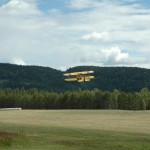 dsc_0081.jpg