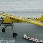 dsc_0243.jpg