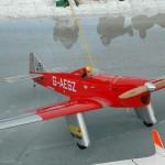 dsc_0246.jpg