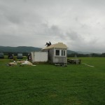 dsc_0009.jpg