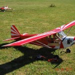 27-06-2011resize0031.jpg