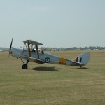 tiger_moth.jpg
