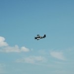 wildcat_i_lufta.jpg