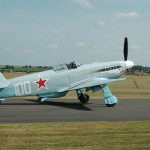 yak_3.jpg