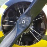 yak_55.jpg