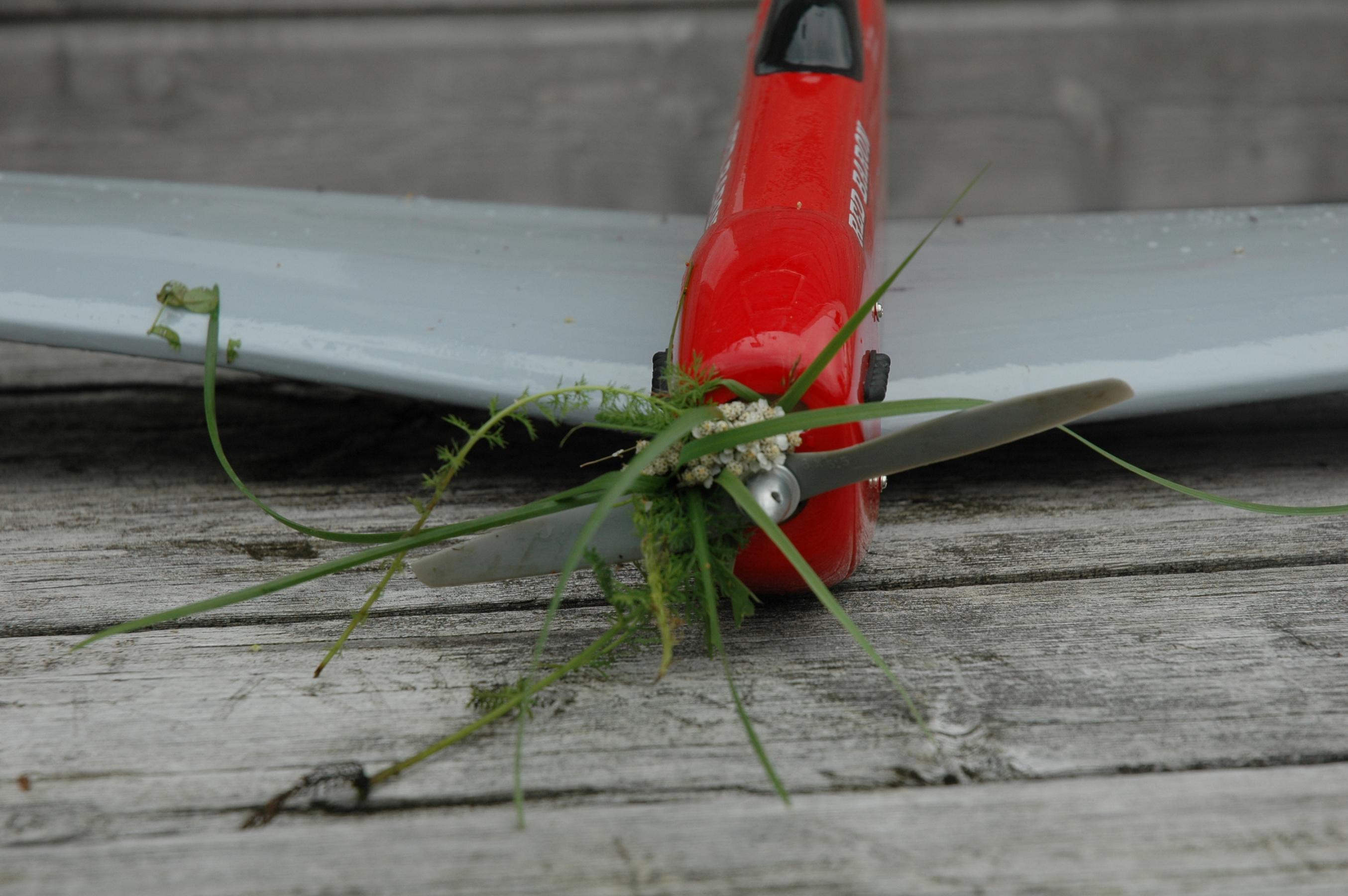 andr_plukker_blomster.jpg